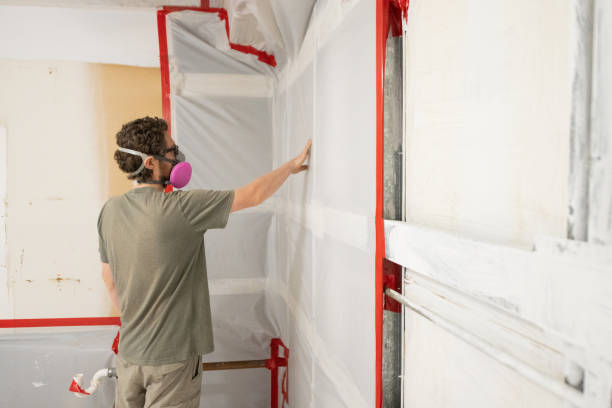 Best Mold Documentation for Insurance Claims  in World Golf Village, FL